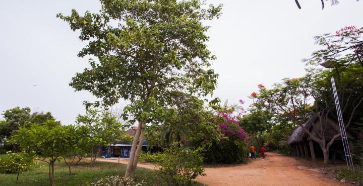 The Dune Eco Village And - Resort Pondicherry